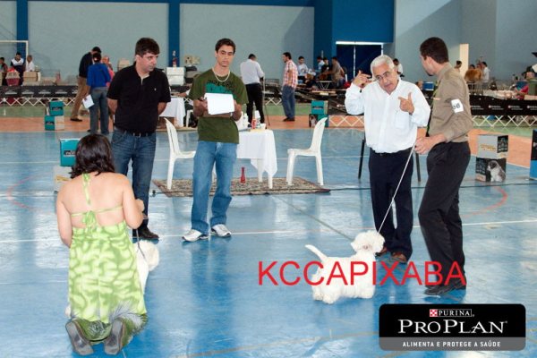 Clique sobre a foto para fechar